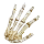 Bony Hand