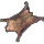 Bear Skin Rug