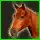 Armored Planar Ardennes Saddle