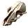 Skeletal Parrot's Synsacrum