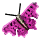 Butterfly Wings