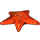 Deep Sea Starfish