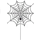 Spider Web - Short