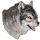 Grey Wolf Familiar