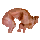 2 lb. Hynid Meat Icon